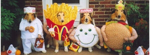 Dog Halloween Costume Events Across Toronto