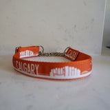 Calgary skyline dog collar with metal chain by Canadian dog brand Bone and Bred