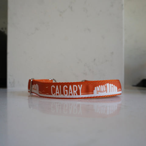 Metal chain Calgary martingale dog collar in orange