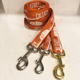 Calgary dog brand leashes and collars in orange