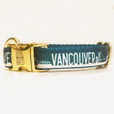 Vancouver collar with gold buckle from Bone and Bred, a Canadian dog brand