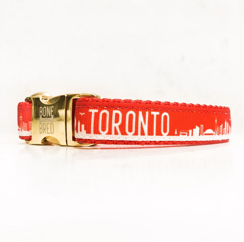 Toronto dog collars with metal buckle in red and white
