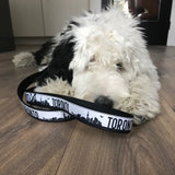 Sheepadoodle with Toronto leash in black and white