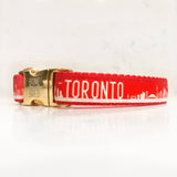 Red Toronto dog collars with gold metal buckle 