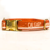The downtown Calgary dog collars and leashes from Bone and Bred. Seen here in Orange.