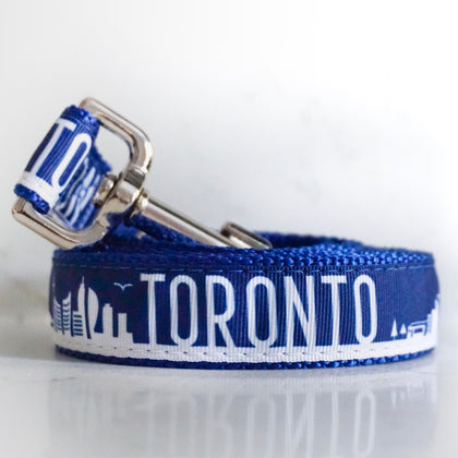 Toronto dog leash in blue and white with silver hardware