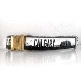 Calgary Collar - Black + Gold