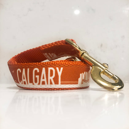 The Orange Calgary flame dog leash is lit