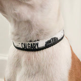 The Calgary skyline dog collar from Canadian dog brand Bone and Bred