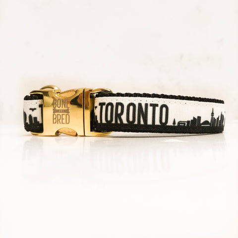 Toronto dog collar with gold metal buckle in black and white