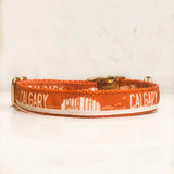 You've probably seen this Calgary dog collar on instagram. Seen here in Orange with a gold buckle.